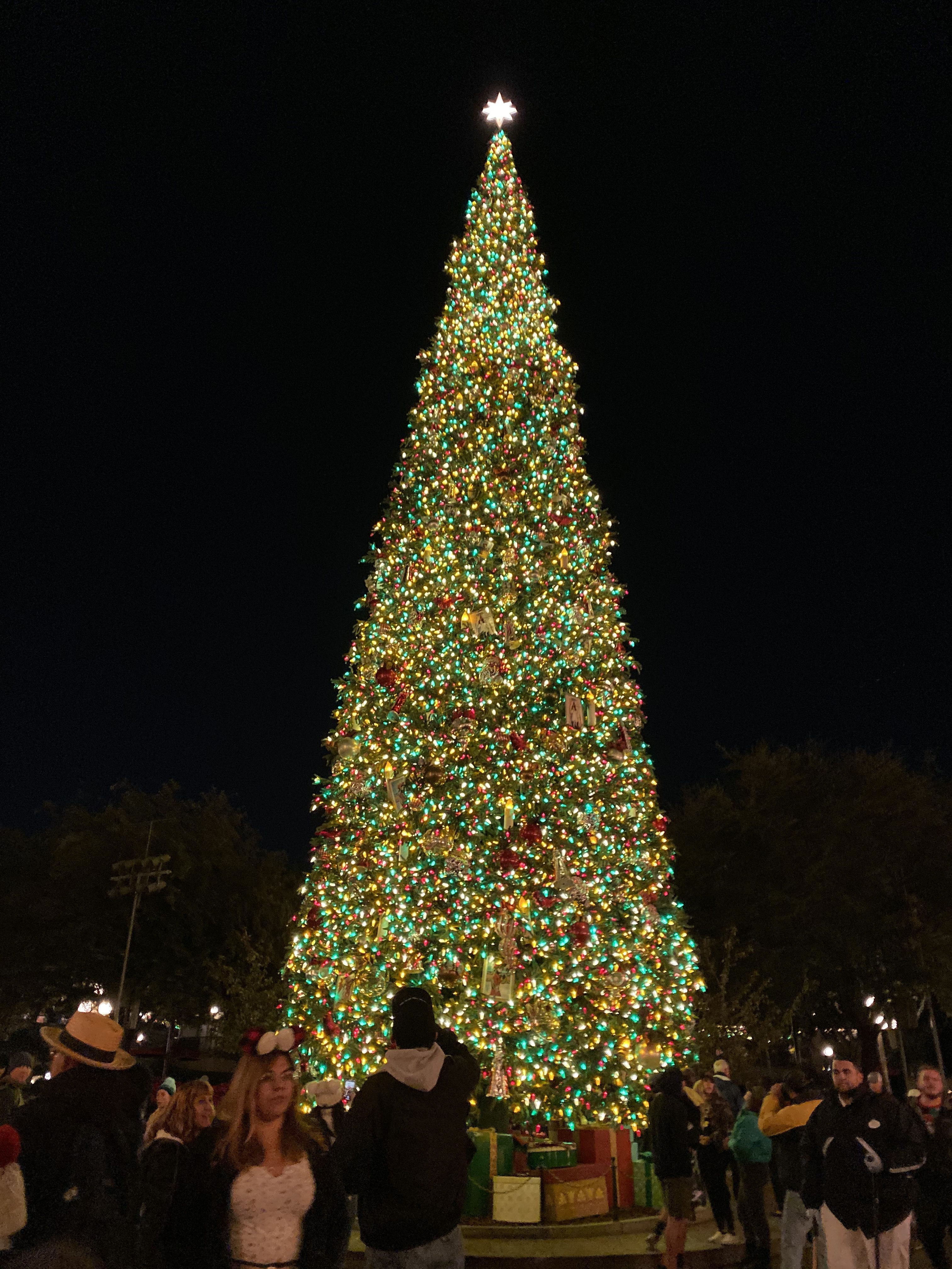 A lit up Christmas tree in Disneyland